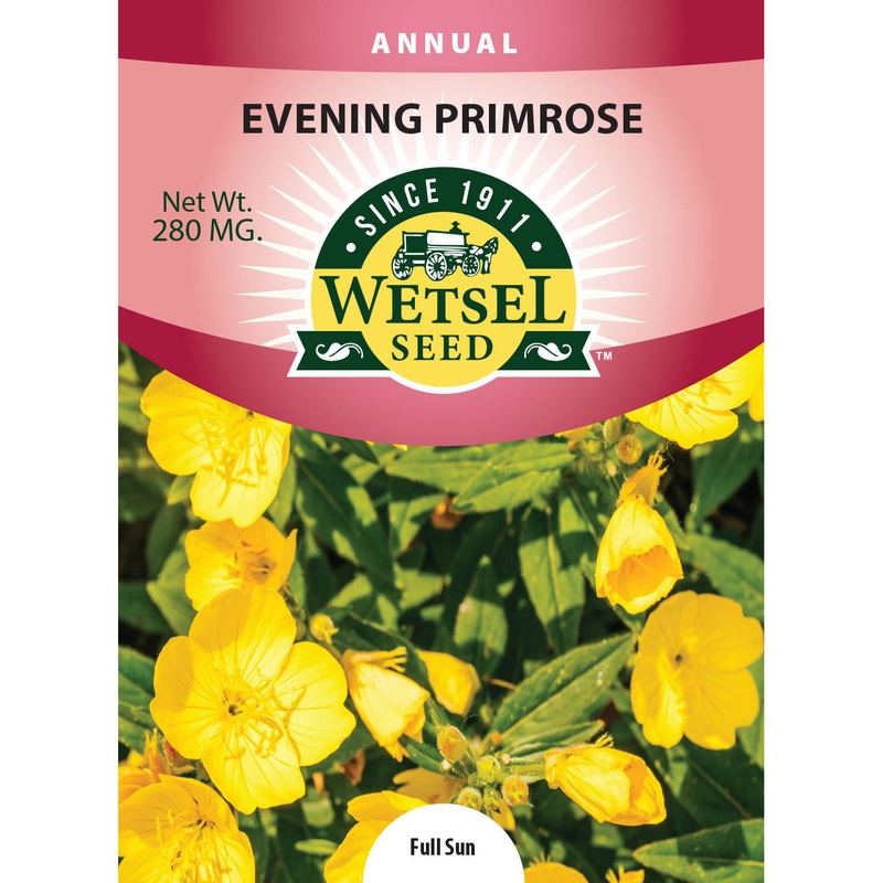 Wetsel Seed Evening Primrose Seed