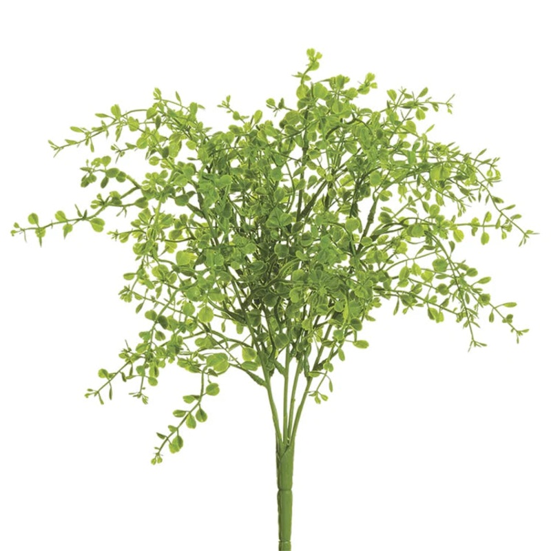 13″ Button Leaf Plant