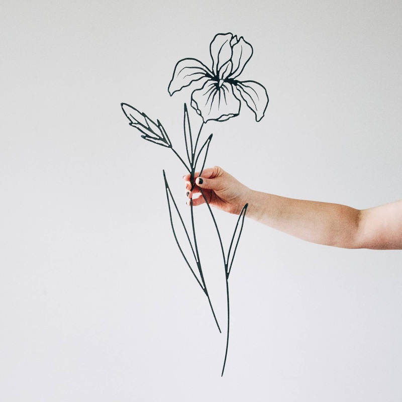 Iris Steel Flower