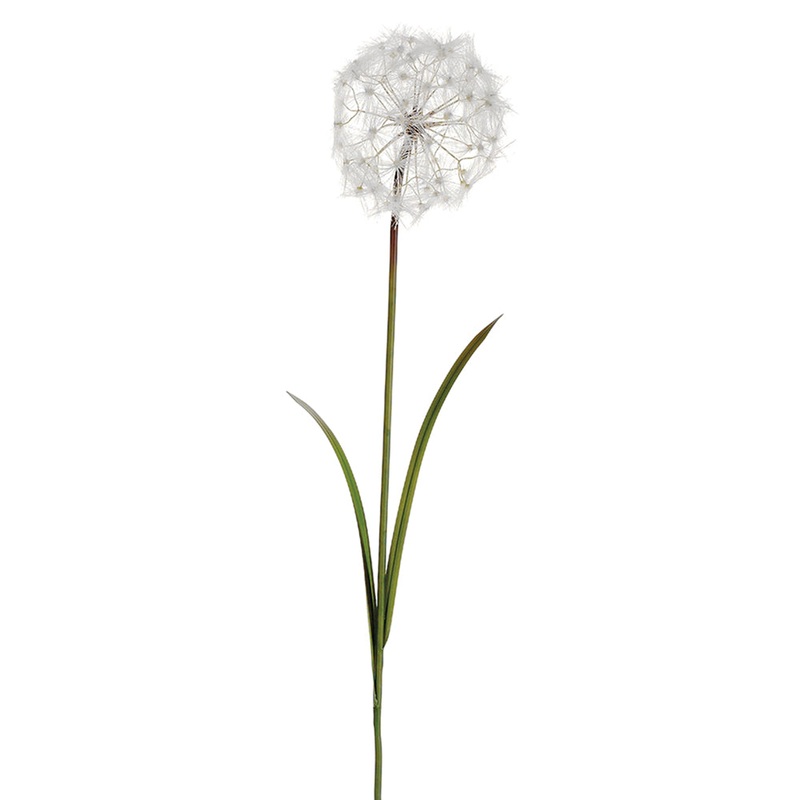 Dandelion Cream