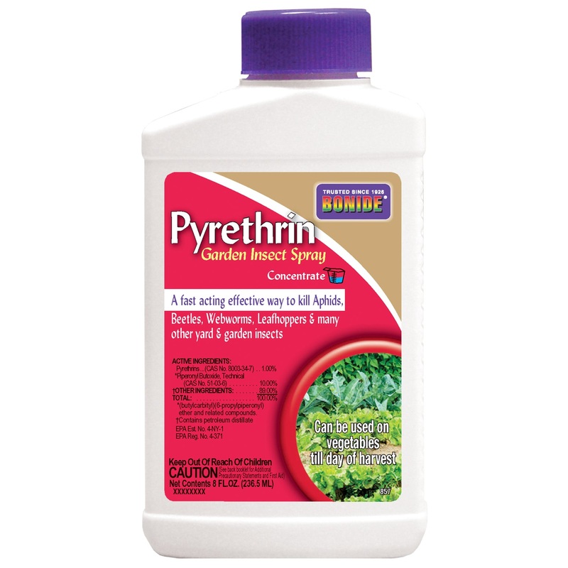 Bonide Liquid Pyrethrin Insect Spray Concentrate