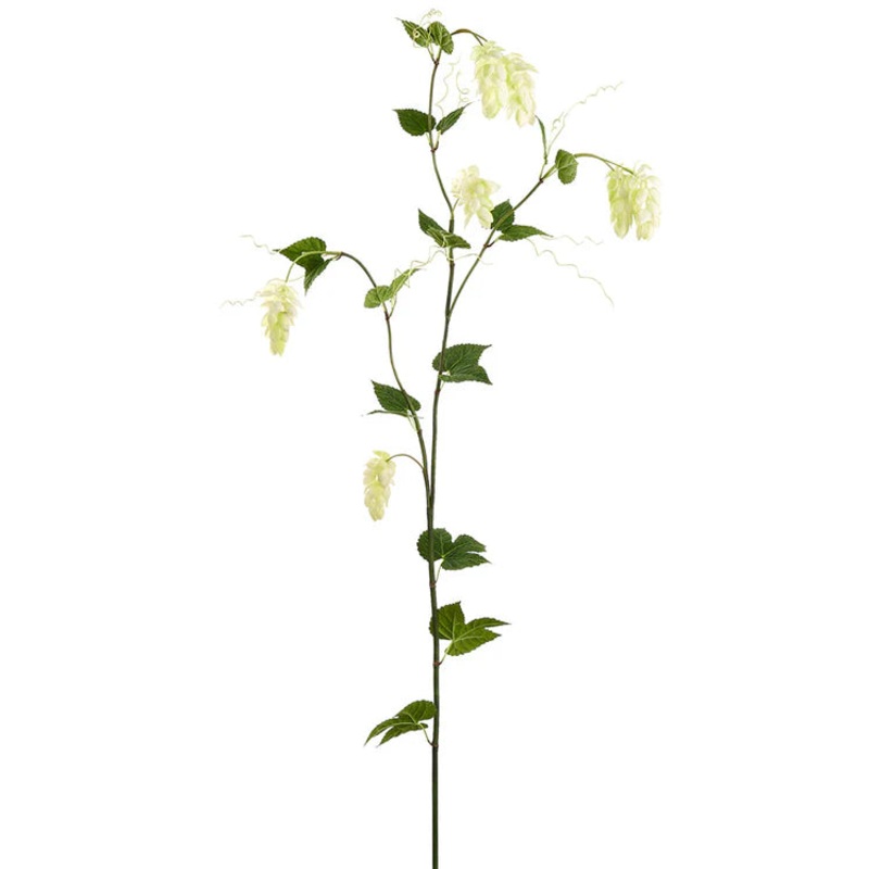 68″ Hops Branch