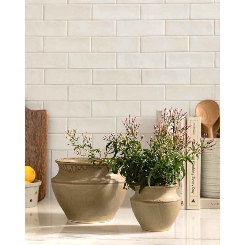 Liora Pot