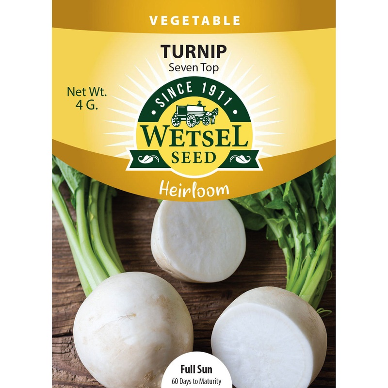 Wetsel Seed Heirloom Turnip Seven Top Seed