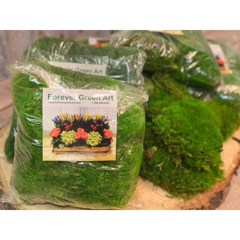 Bag of Moss