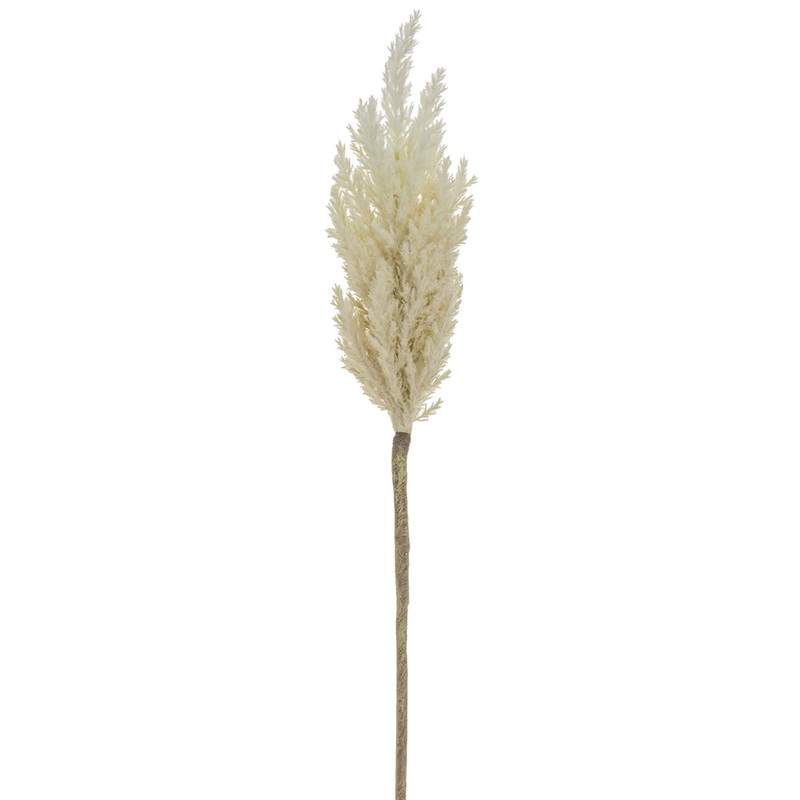 Pampas Grass Stem