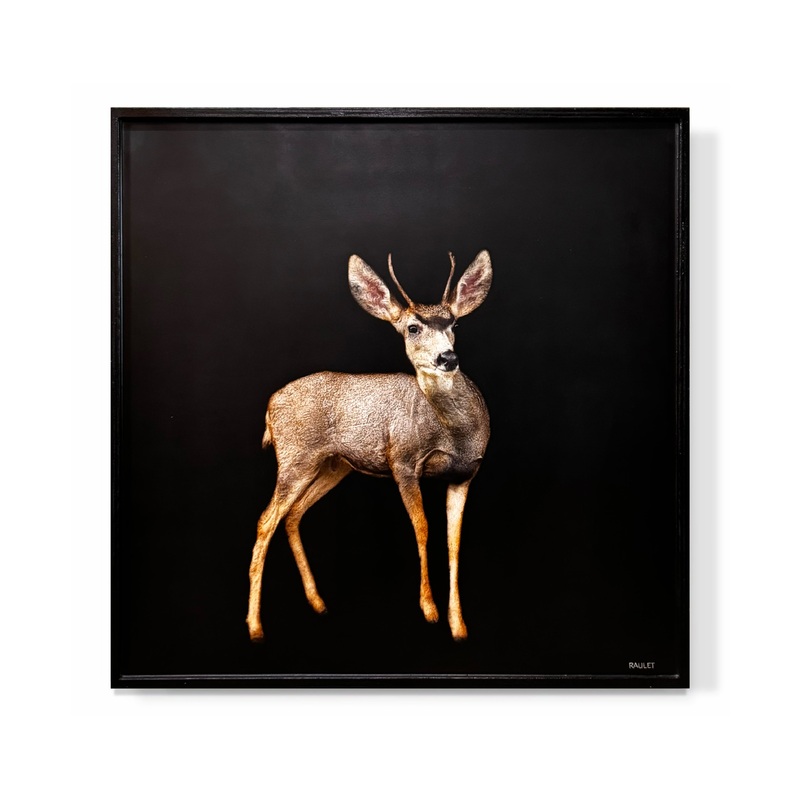 “Deer”