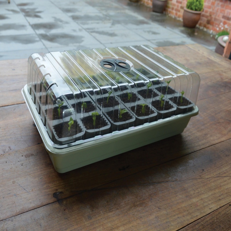 Garland 24 Cell Self Watering Fast Root Success Kit