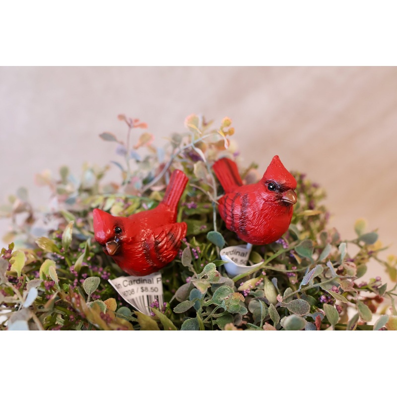 Resin Cardinal Pick