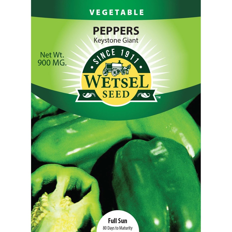 Wetsel Seed Keystone Resistant Giant #3 Pepper Seed