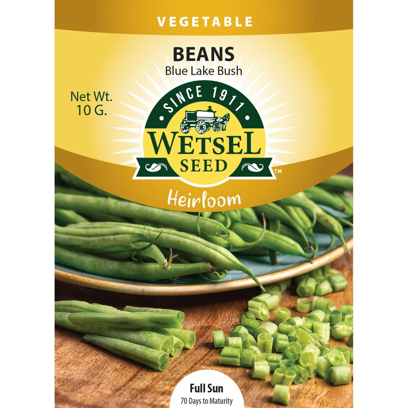 Wetsel Seed Heirloom Bean Blue Lake Bush Seed