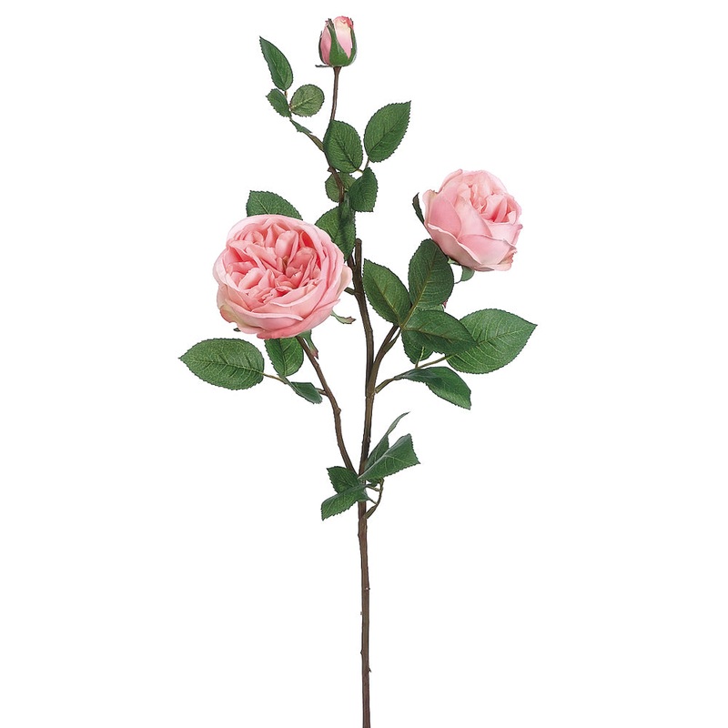 29″ Cabbage Rose – Pink
