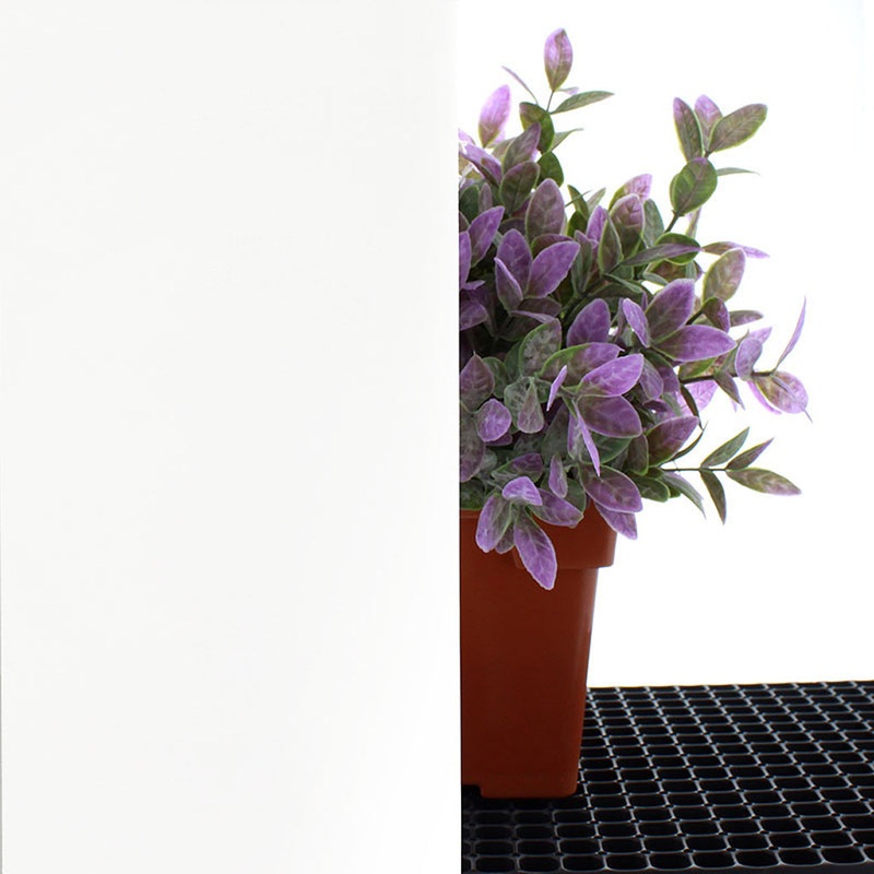 6mil White Greenhouse Film