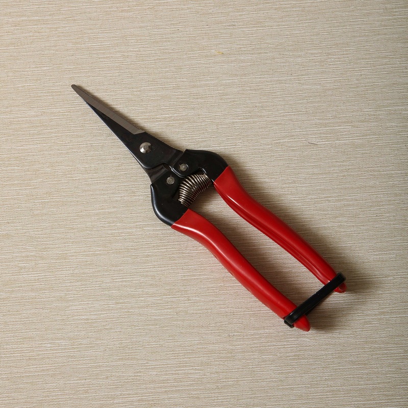 Needlenose Fruit & Flower Pruner