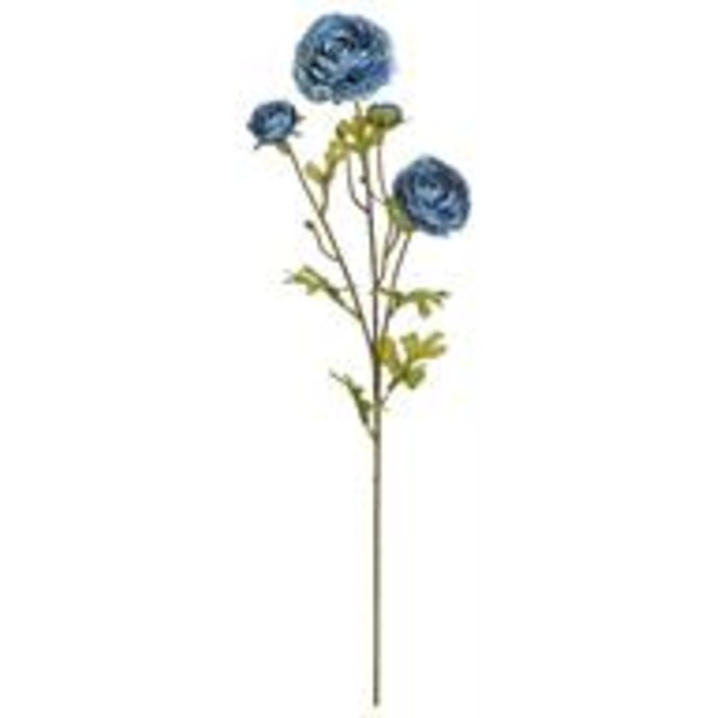 Blue Beauty Everyday Ranunculus Stem