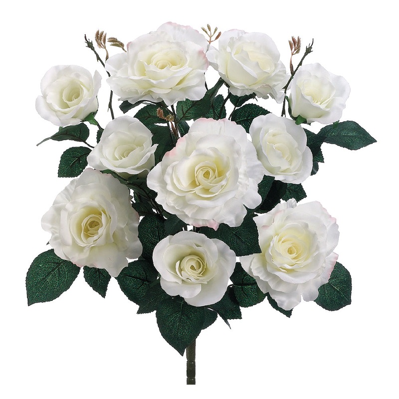 Rose Bush – White