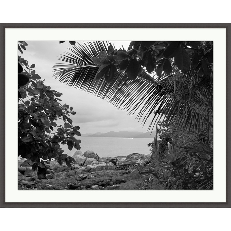 Tahitian Palm