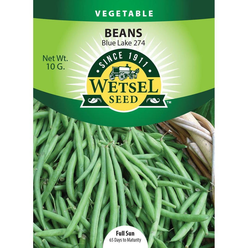 Wetsel Seed Bean Blue Lake 274 Seed