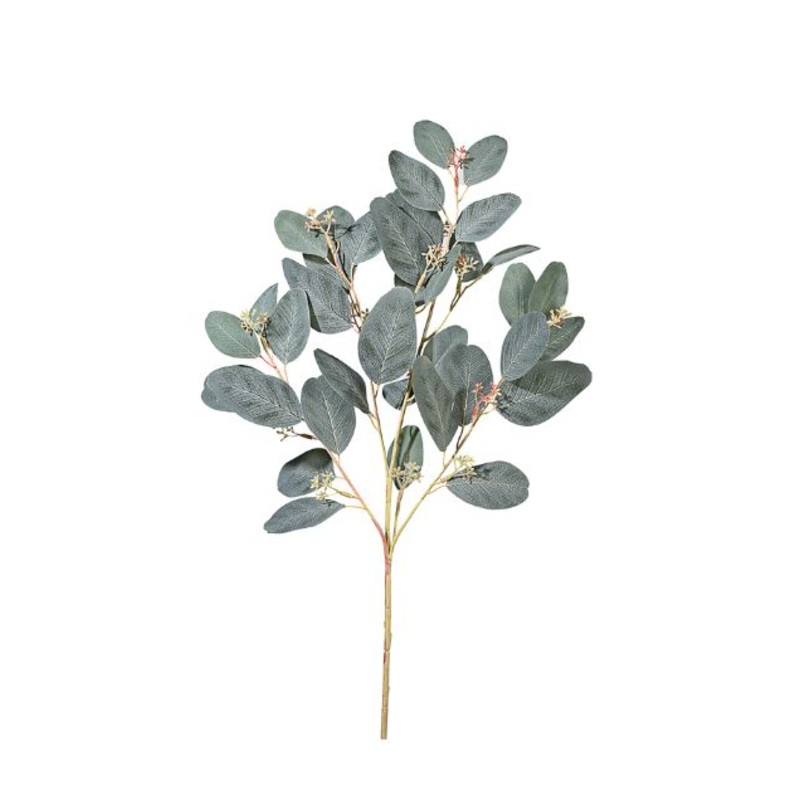 Green Seeded Eucalyptus Pick