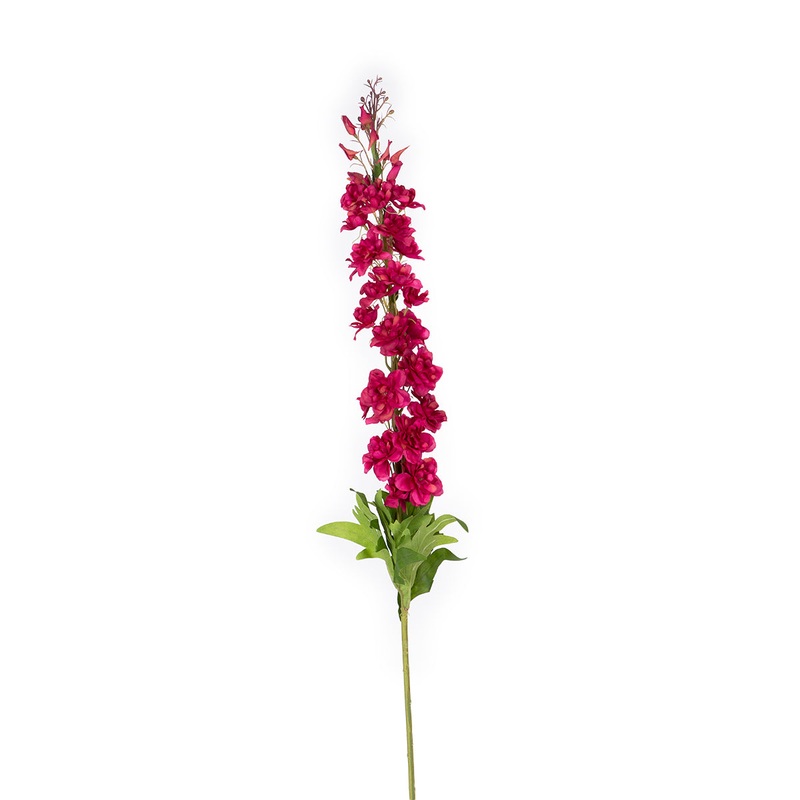 Delphinium Flower