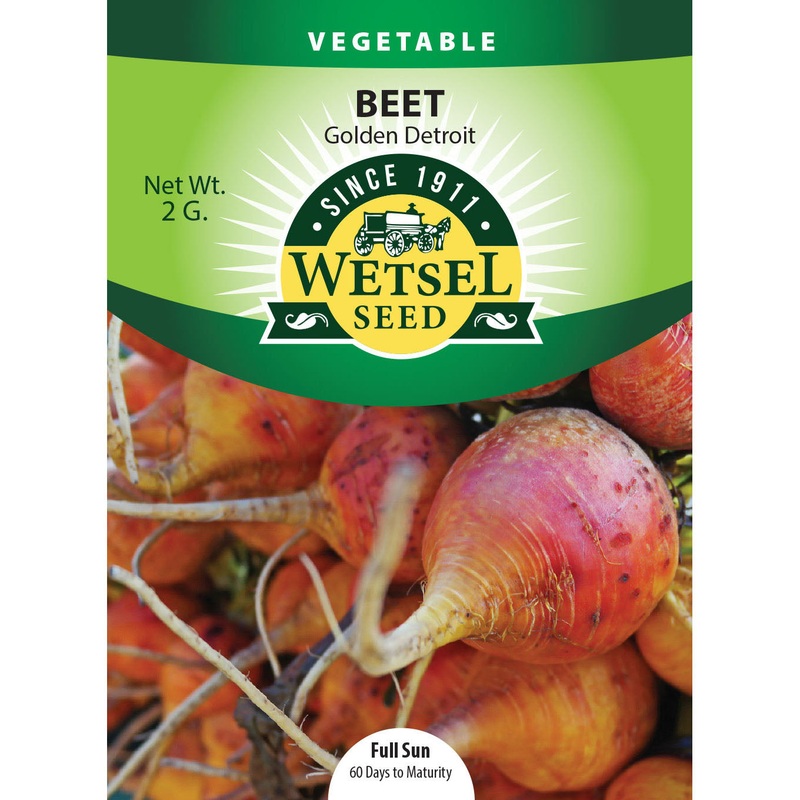 Wetsel Seed Golden Detroit Beet Seed