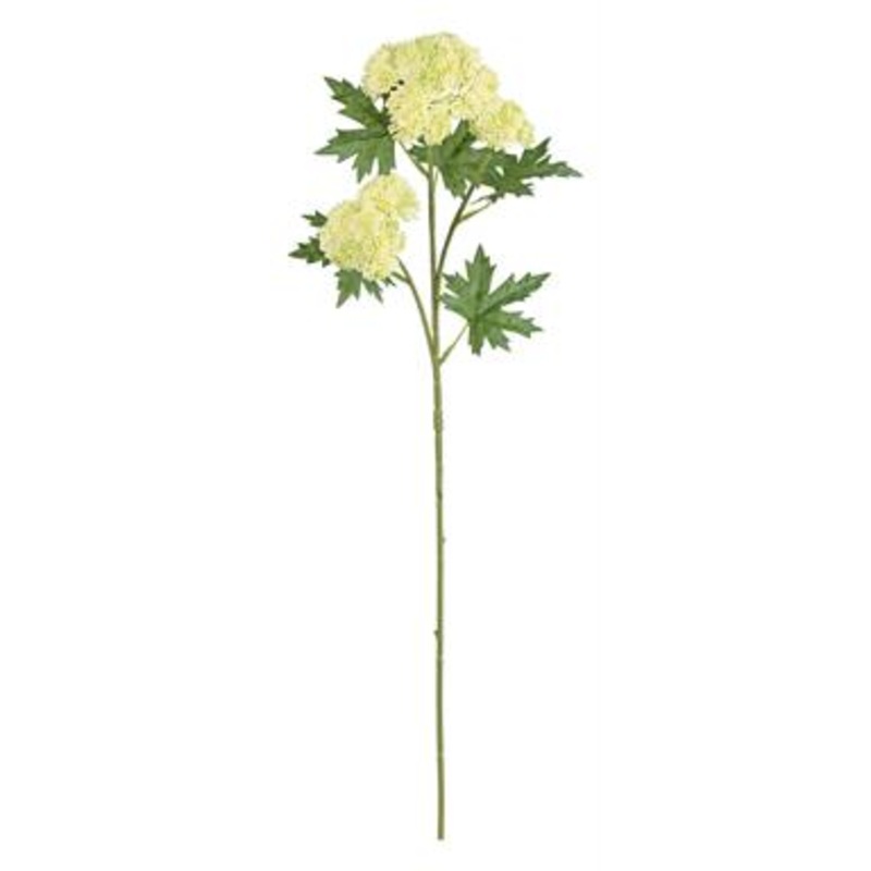 Wickford Cream Sedum Spray