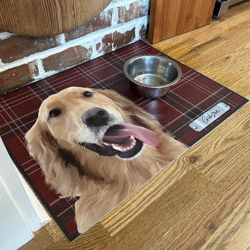 Custom Pet Portrait Coaster (Set of 8) & PetFlat Bundle