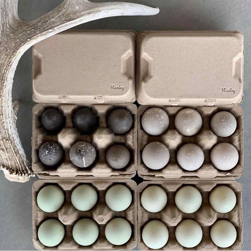 Henlay Duck Egg Cartons – Holds Half Dozen Jumbo Eggs- Blank Flat Top, 2 colors, 20 or 100