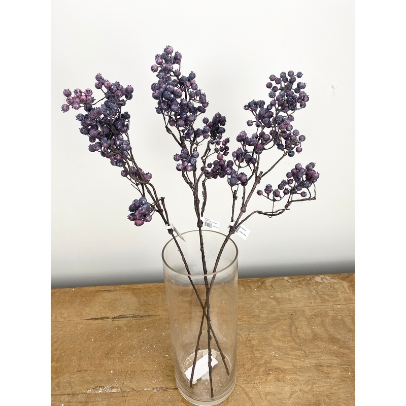 Plum Washed Current Berry Spray