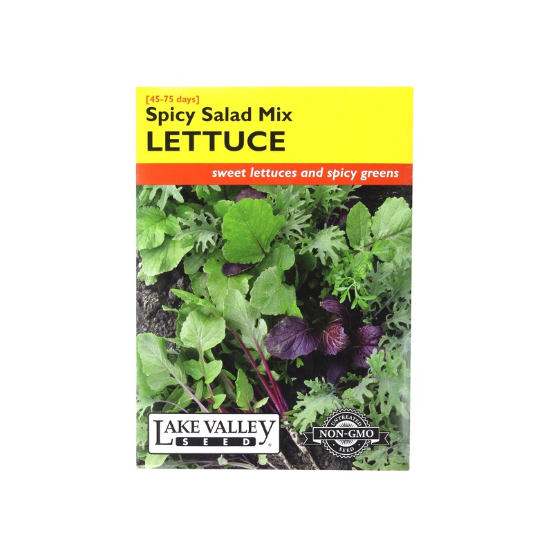 Lake Valley Seed Lettuce Spicy Salad Mix Seeds, 47+ Days Until Ready, 1.5g