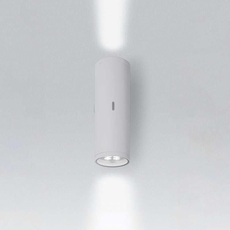 Artemide Calumet 13 Double LED Outdoor Wall Light