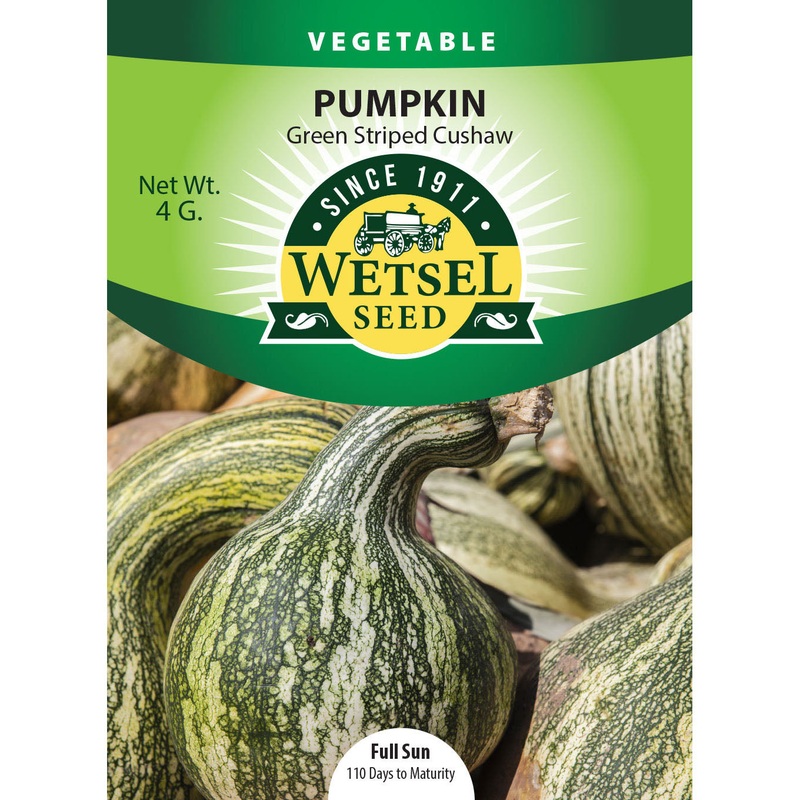 Wetsel Seed Pumpkin Green Striped Cushaw Seed
