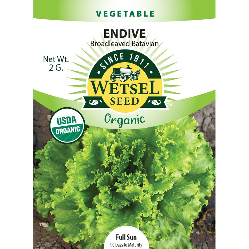 Wetsel Seed Organic Broadleaved Batavian Endive Seed