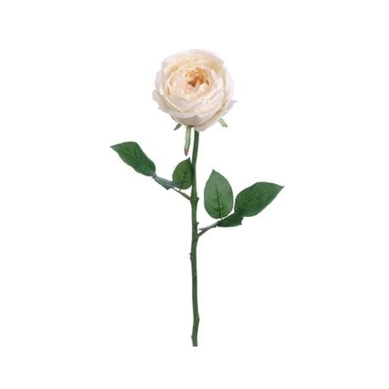23″ Garden Cabbage Rose Stem – White