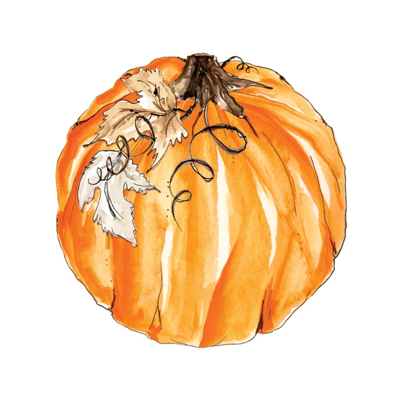 Orange Pumpkin & Leaves Paper Placemats