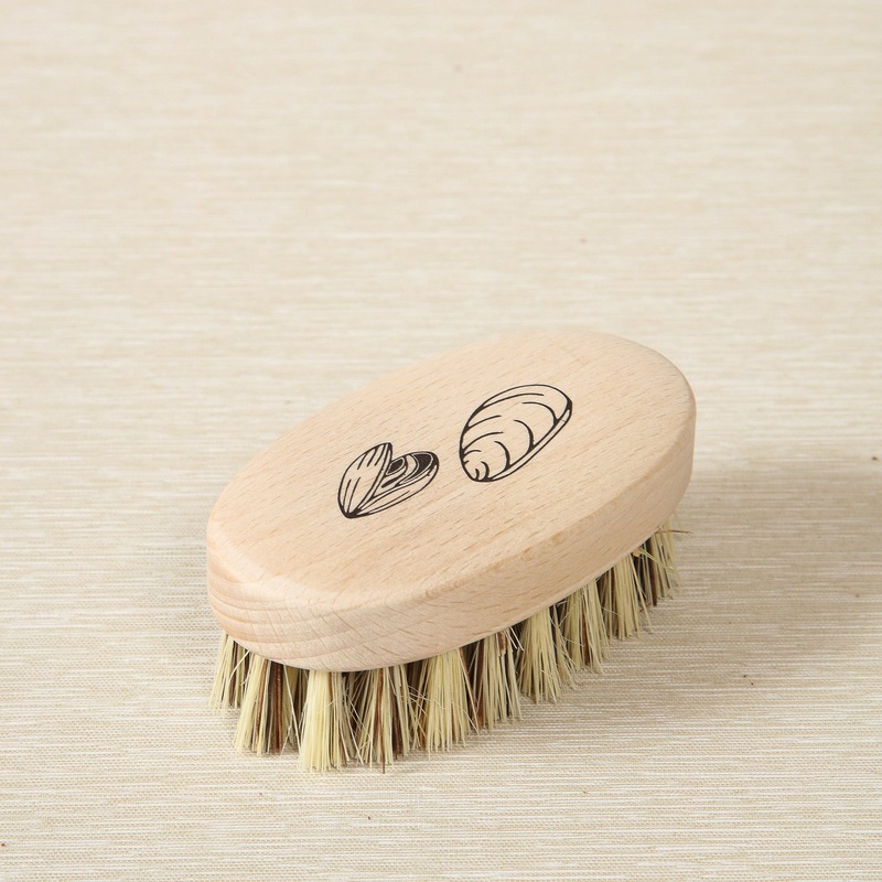 Beech Mussel Brush