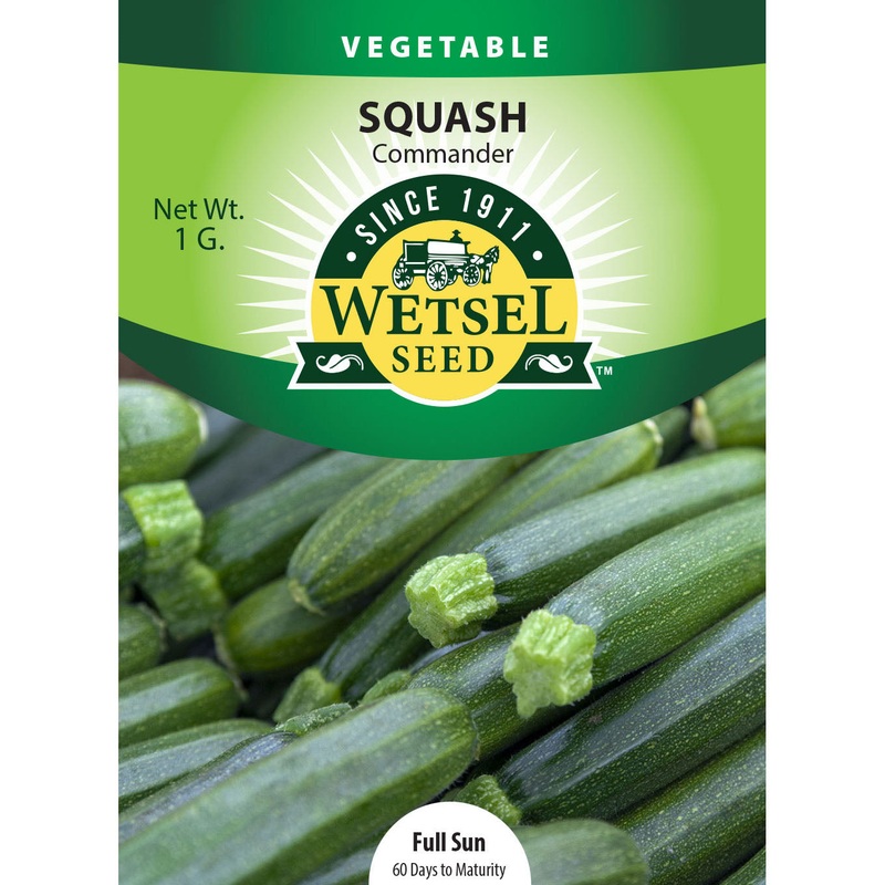 Wetsel Seed Squash Commander Zucchini Seed