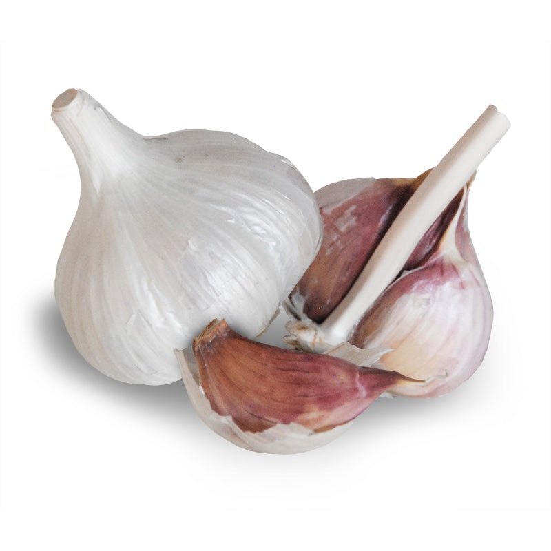 German White Stiffneck Hardneck Garlic – USDA Certified Organic