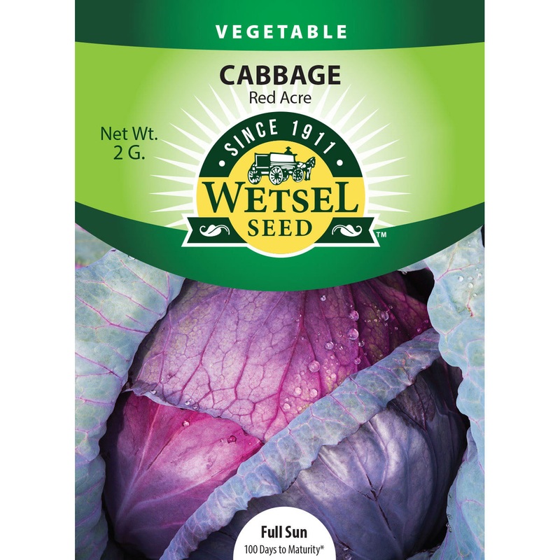 Wetsel Seed Red Acre Cabbage Seed