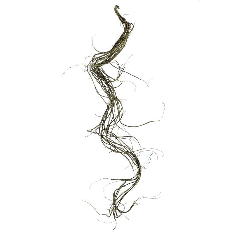 60″ Wrapped Twig Bendy Vine
