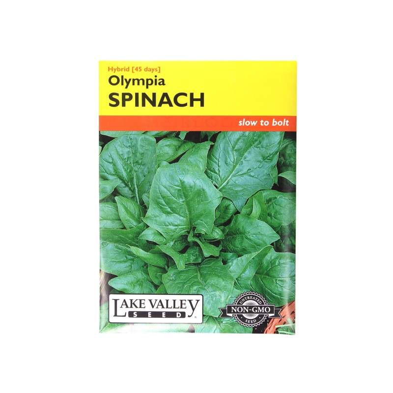 Lake Valley Seed Spinach Olympia Hybrid, 3g