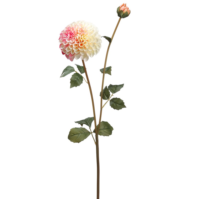 Dahlia Spray