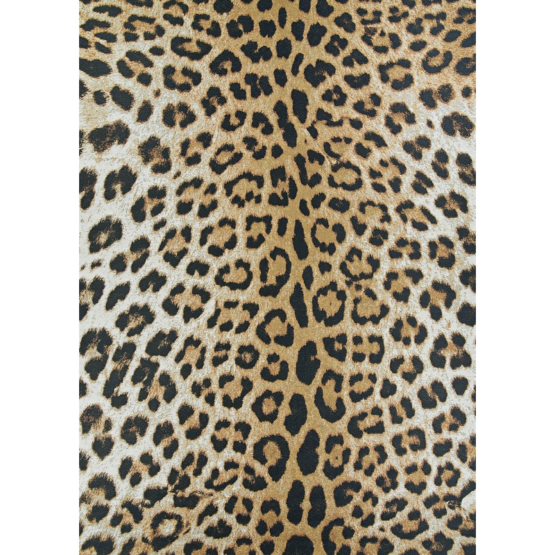 DOLCE 5750 POWER-LOOMED Synthetic Blend Indoor/Outdoor  Area Rug By Couristan Rugs