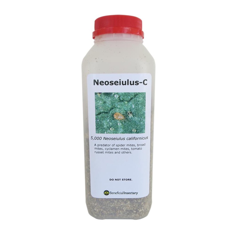 Neoseiulus Californicus for Mite Control