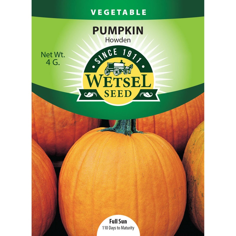 Wetsel Seed Pumpkin Howden Seed