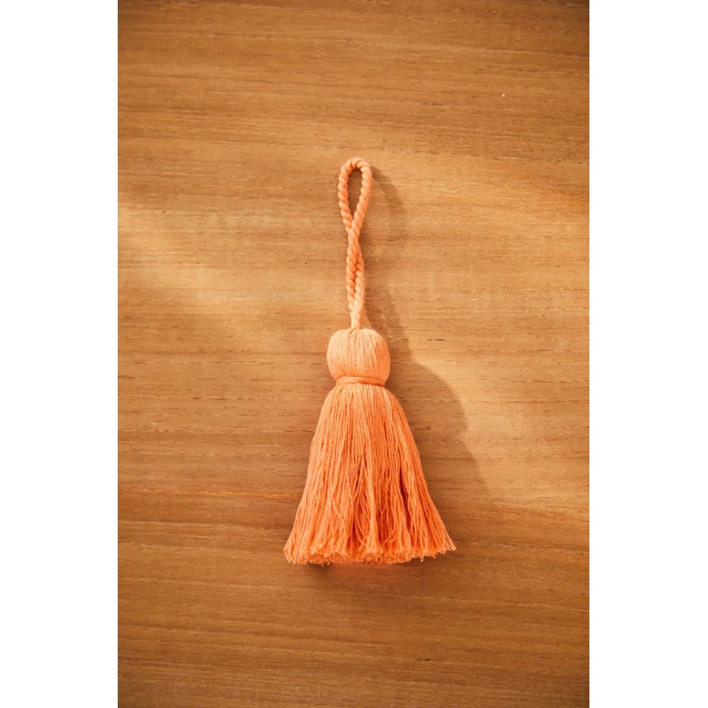 Pompn coral Horn