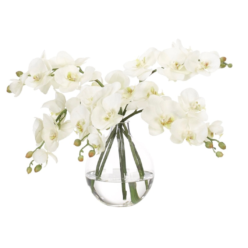 WHITE ORCHIDS