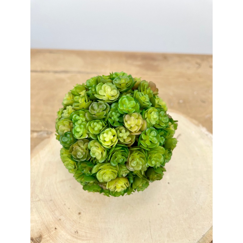 Deep Green Chick Succulent Orb