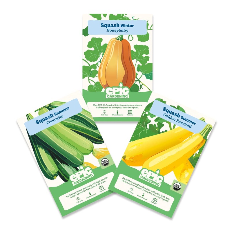 Squash Bundle