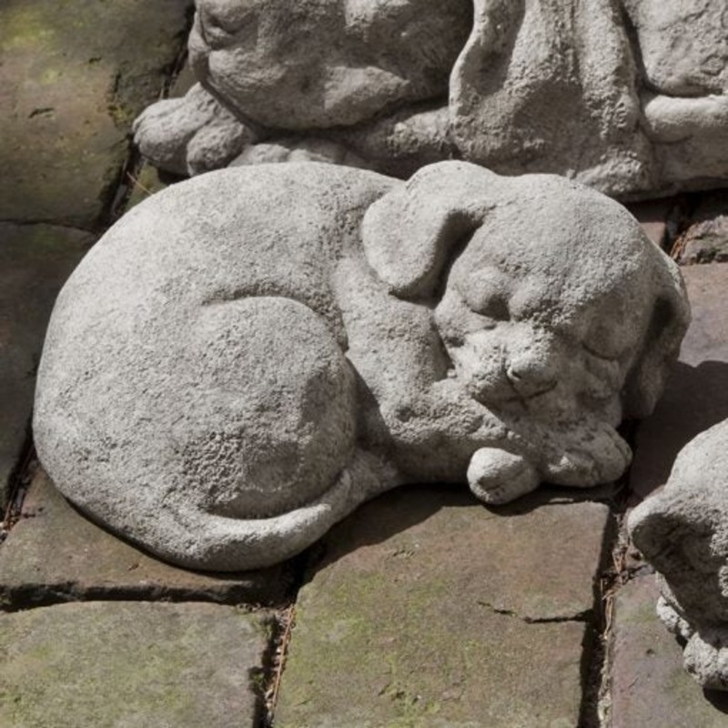 Curled Dog Small